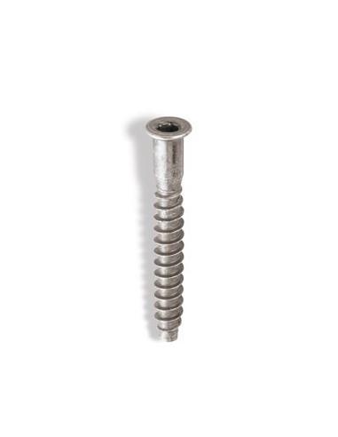 Tornillo ensamblaje ene 5x50 zincado de celo caja de 250