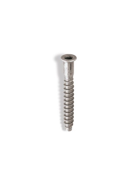 Tornillo ensamblaje ene 5x50 zincado de celo caja de 250