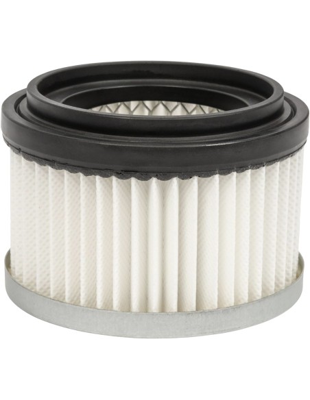 Filtro aspirador ceniza powx3004b de powerplus