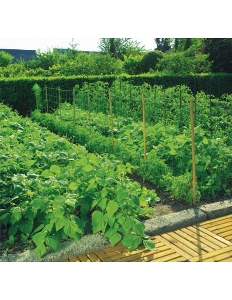 Malla entutor trellinet 35/2x010 verde de nortene