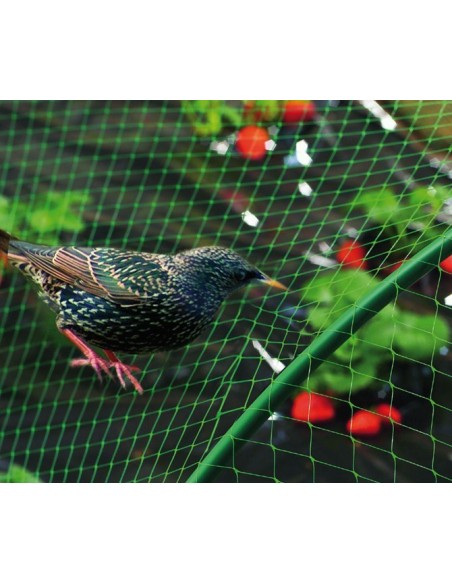 Malla antipajaros birdnet 5380/2x10m verde de nortene