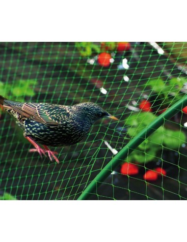 Malla antipajaros birdnet 5380/4x06m verde de nortene