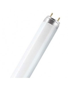 Tubo fluorescente basic l18/865-18w de osram caja de 25 unidades